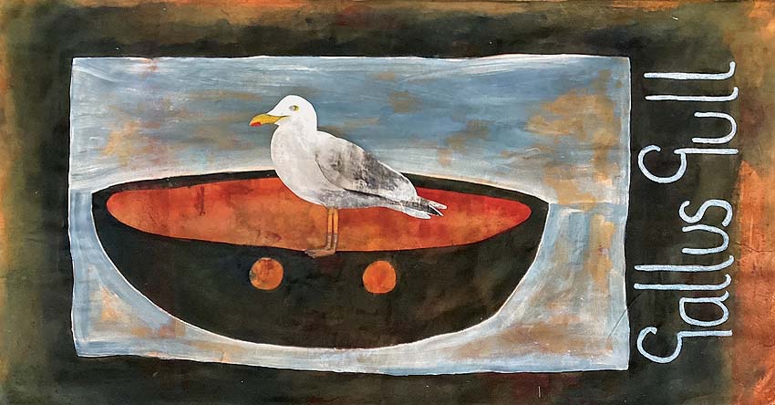 Gallus Gull